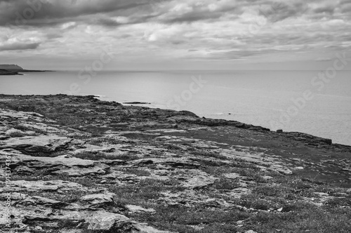 A black and white photo of a rocky shoreline with a calm ocean in the background