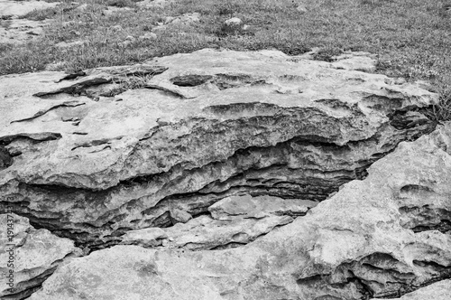 A rocky cliff with a few small plants growing on it