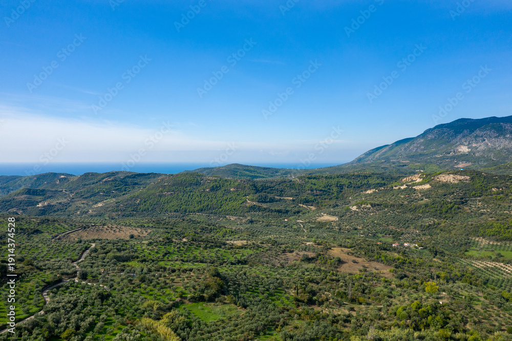 Fototapeta premium Wide aerial view of lush olive groves and rolling hills stretching toward the distant sea in the Greek countryside. Clear blue sky and layered mountain slopes create a tranquil Mediterranean landscape