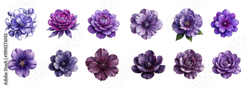 Elegant purple blossom oil brush vector illustration with rich layered paint texture and detailed botanical petals for luxury branding, wedding invitations, wall art prints, packaging design - Vector 