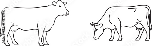 Two cows grazing in a pasture, line drawing style