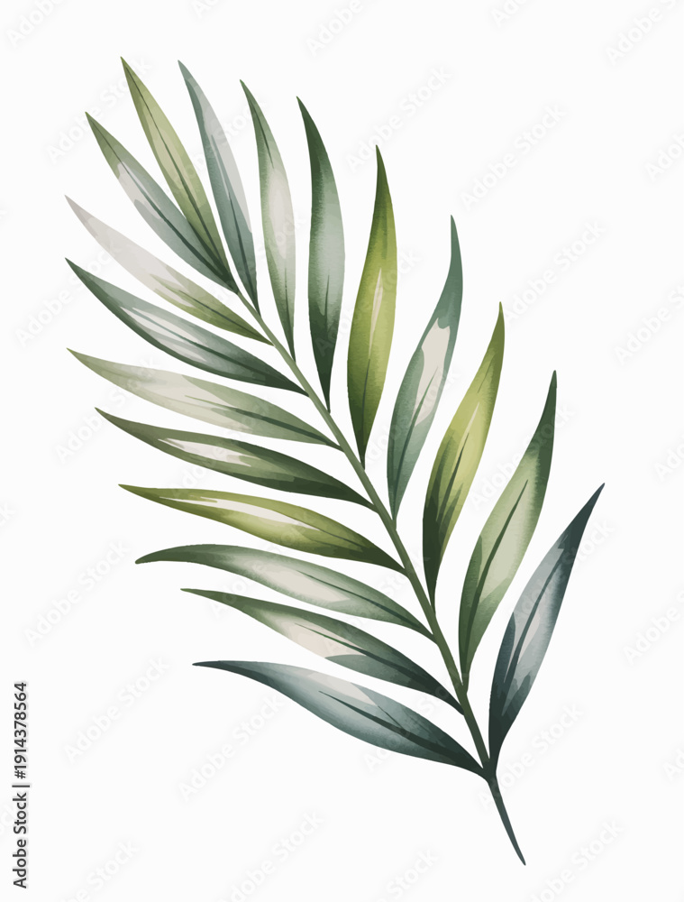 Fototapeta premium Watercolor palm leaf illustration isolated on white. Tropical greenery palm frond isolated in watercolor.