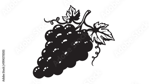 Black and white illustration of a grape bunch with leaves.