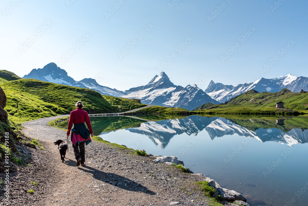 Fototapeta premium A woman and her dog on a hike in the Swiss alps, mount Jungfrau in the background