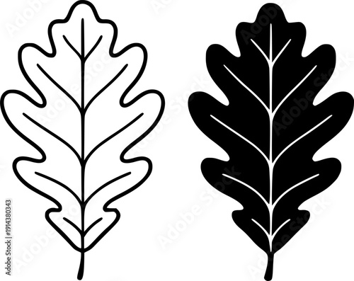 Nature icon, vector illustration of oak leaf, black and white in outline and silhouette design style