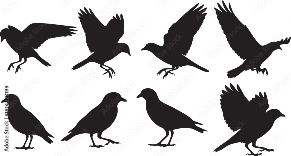 Obraz premium Black silhouettes of birds in various poses on white background flying