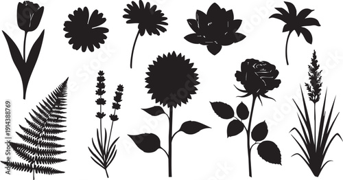 Black silhouettes of various flowers and plants on white background
