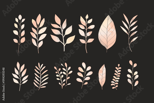 Natural elements. Vector illustrations for graphic and web design, social media, business and marketing material. Concepts of natural and organic products, beauty and cosmetics, fashion, environment.