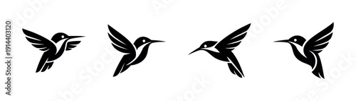 Hummingbird silhouettes set, flat vector illustration in black and white
