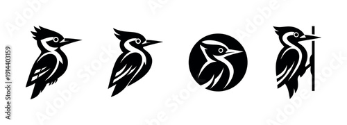 Woodpecker silhouettes collection in black, flat vector illustration