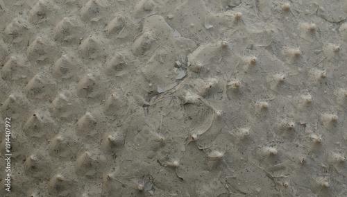 Surface With Bumps and Texture in Natural Light Shows Clay or Mud Pattern on ...