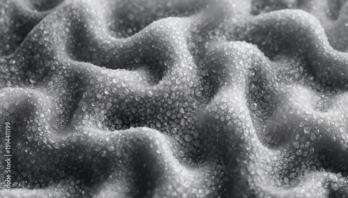 Close up View of Textured Surface With Droplets Reflecting Light During Early...