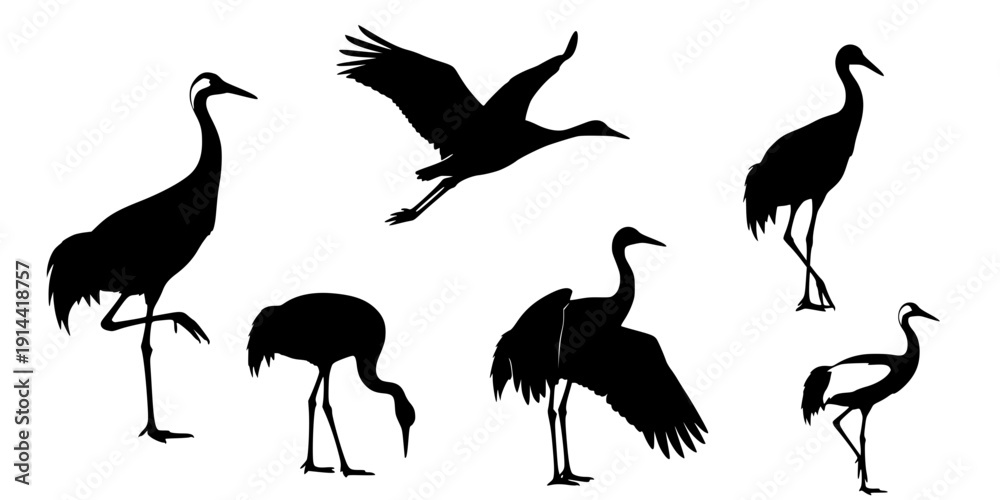 Obraz premium Crane bird svg, Crane bird silhouette, Japanese crane svg, Sandhill crane svg, Crane silhouette, Crane svg set 