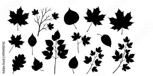 Branch leaves silhouette, Leaf silhouettes, Leaves silhouette, Decorative autumn leaf silhouettes, Branch leaves, Leaf, Leaf icon
