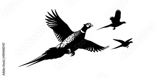 Pheasant silhouette, Flying pheasant silhouette, Pheasant SVG, Pheasant silhouette clip art, Bird silhouettes, Bird SVG, Bird clip art
