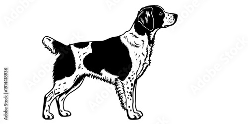 Brittany spaniel silhouette, Brittany dog clipart, Brittany dog, Dog silhouettes, Brittany dog icon.
