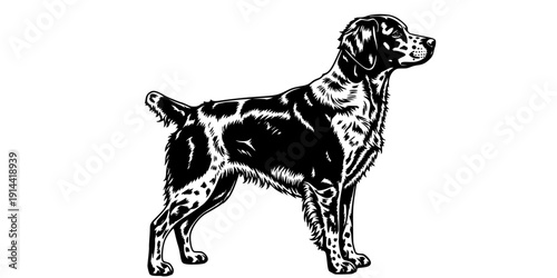 Brittany spaniel silhouette, Brittany dog clipart, Brittany dog, Dog silhouettes, Brittany dog icon.
