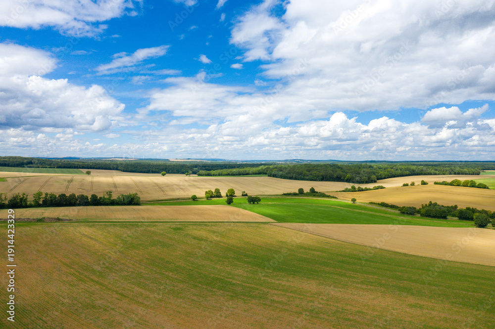 Naklejka premium Colorful agricultural fields in shades of green and gold stretch across the countryside, bordered by forest and set beneath a sky filled with textured clouds.