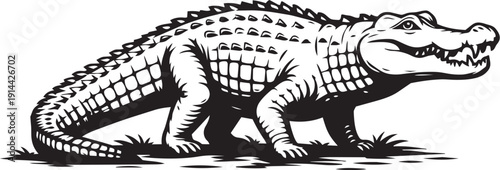 Zebra Plains zebra savanna ground standing striped profile wildlife engraving for packaging and logo use