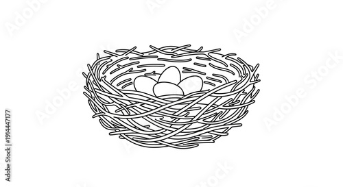Birds Nest with Eggs.