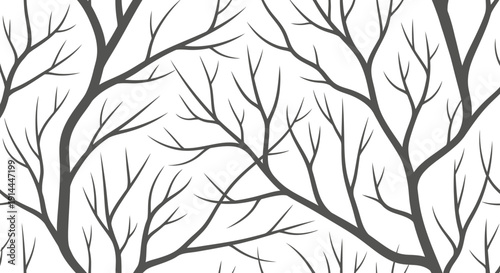 Black Branches on White.