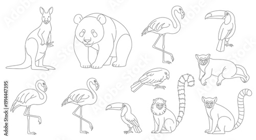 Collection of Australian Animals.