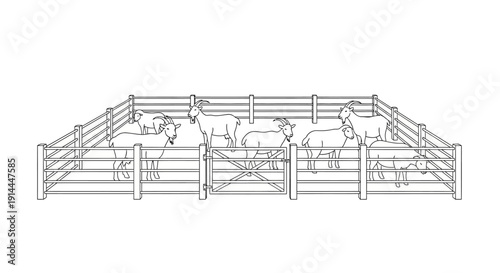 Cows in Fenced Enclosure.