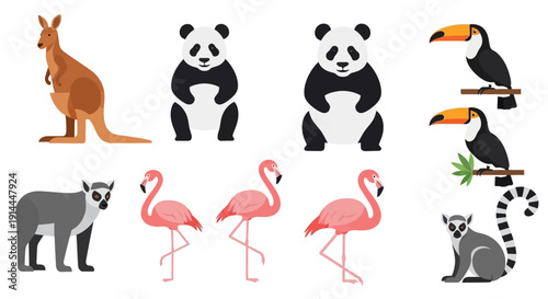 Various Wild Animals Collection.