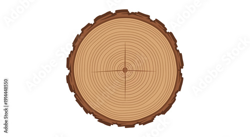 Tree Stump Cross Section.