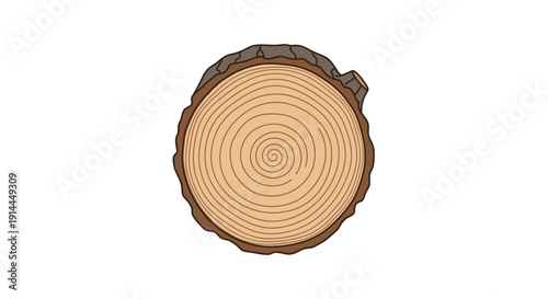 Tree Ring Cross Section.