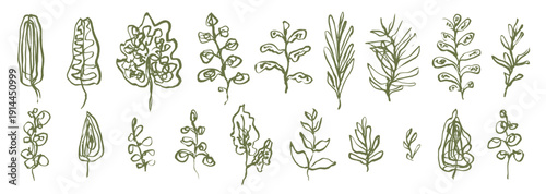 Bold line art vector olive green ink hand drawn monstera, fern leaves and herbs. Artistic delicate linear drawing floral elements for pattern and tattoo design, greeting card, line logo, banner