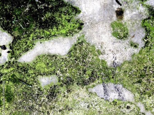Old walls covered in moss look very artistic as a background.