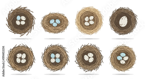 Bird Nests with Eggs.