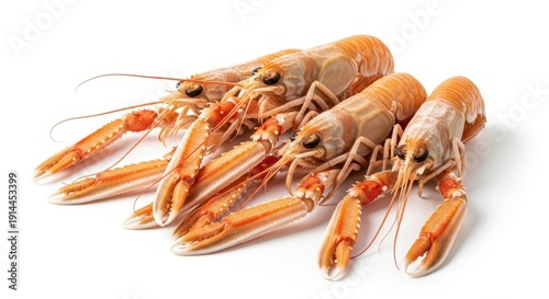 Fresh Langoustines on White Background - A Seafood Delicacy.