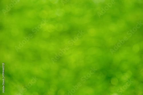 Defocused green grass with water drops abstract natural background.