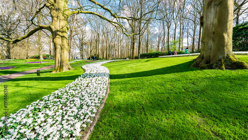 Beautiful flowerbeds at Keukenhof Botanical Gardens, Lisse, Netherlands