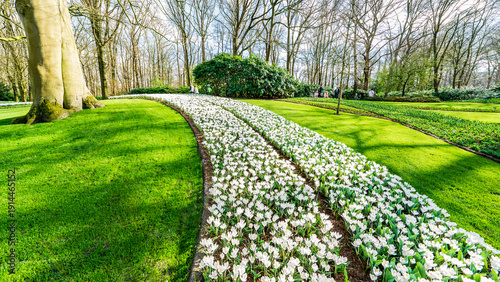 Canvas-taulu Beautiful flowerbeds at Keukenhof Botanical Gardens, South Holland Province, Net