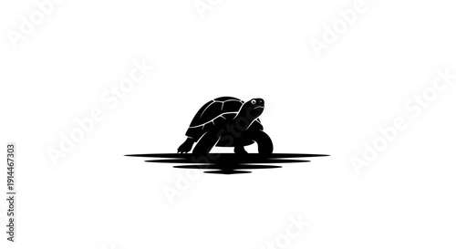 Silhouette of a turtle on a minimalistic white background