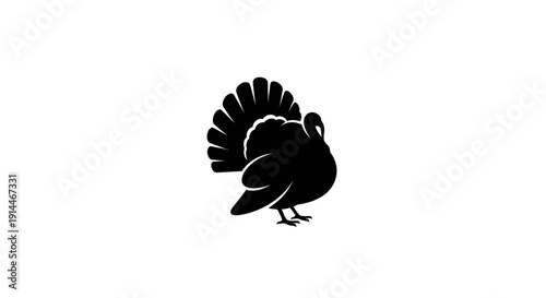 Silhouette of a Turkey with Fan Tail Display