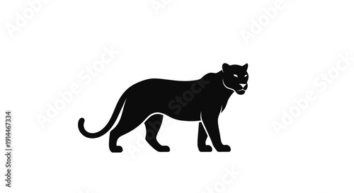 Silhouette of a Black Panther on White Background