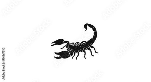 Silhouette of a Scorpion Illustration for Natural Life Concept