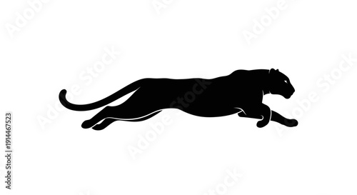 Silhouette of a Pantera Leo in Motion on White Background