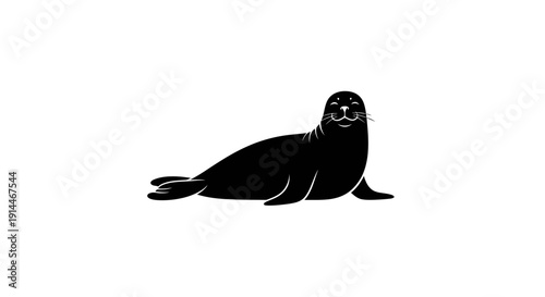 Silhouette of a Seal on White Background
