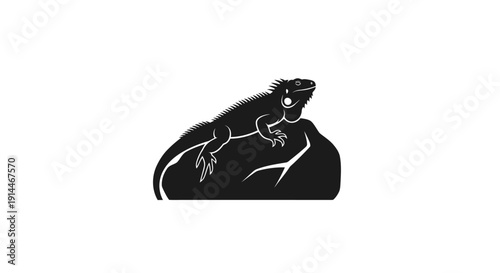 Black and White Silhouette of a Lizard Resting on Rock