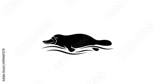 Silhouette of a Crocodile Resting on Water Surface