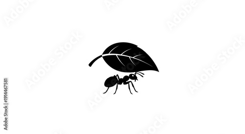 Black Ant on Leaf Silhouette, Nature Close-up