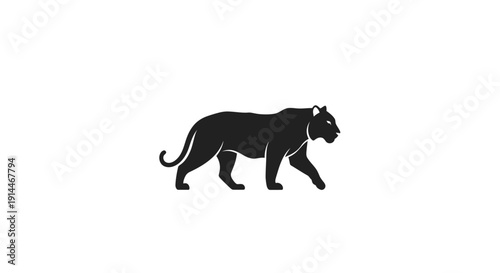 Silhouette of a Wild Black Panther Walking in Profile
