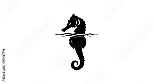 Silhouette of a Seahorse in Water with Reflection