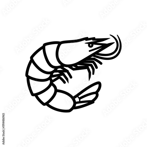 Black and White Line Drawing of a Shrimp, Seafood Illustration for Food and Culinary Design