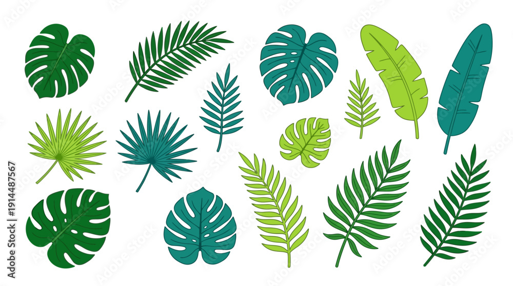 Fototapeta premium Tropical Leaves d flat vector isolated white background